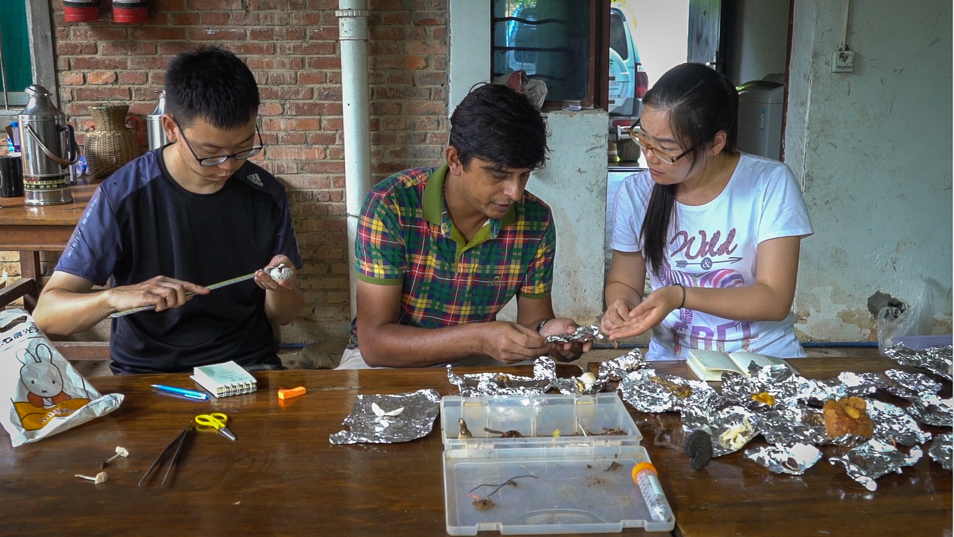 Collecting wild fungi for analysis in Nabanhe Xishuangbanna_credit Catherine Marciniak.jpg